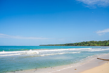 Sticker - Cahuita National Park, Costa Rica