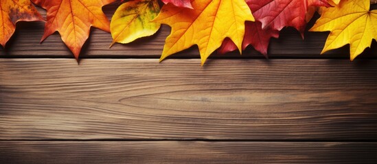 Sticker - Autumnal Woodland Serenity: Rustic Wooden Background Adorned with Colorful Fall Leaves