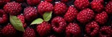 Fresh wet raspberry berries background, backdrop, banner, texture. Raspberry berries closeup shot with water drops