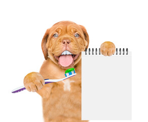 Poster - Mastiff puppy with funny big teeth holds toothbrush and empty list. isolated on white background