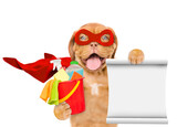 Fototapeta Koty - Funny Mastiff puppy wearing superhero costume holds bucket with washing fluids and shows empty list. Isolated on white background