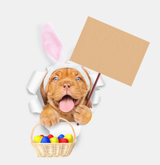 Aufkleber - Smiling Mastiff puppy wearing easter rabbits ears looks through the hole in white paper holds basket of painted easter eggs and shows empty placard