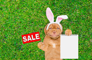 Aufkleber - Smiling Mastiff puppy wearing easter rabbits ears shows signboard with labeled 