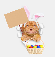Aufkleber - Happy Mastiff puppy wearing easter rabbits ears looks through the hole in white paper holds basket of painted easter eggs and shows empty placard