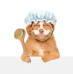 Poster - Happy Mastiff puppy wearing shower cap with cream on it face holds shower brush behind empty white banner. isolated on white background
