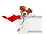 Fototapeta Zwierzęta - jack russell terrier wearing like a doctor with superhero cape and with stethoscope on his neck looks at camera and shows empty list. Isolated on white background