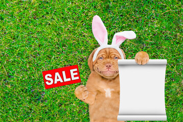 Aufkleber - Smiling Mastiff puppy wearing easter rabbits ears shows signboard with labeled 