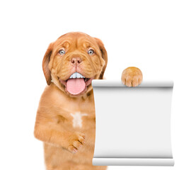 Poster - Happy Mastiff puppy with funny big teeth holds toothbrush and shows empty list. isolated on white background