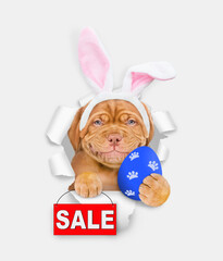 Aufkleber - Smiling Mastiff puppy wearing easter rabbits ears holds painted egg and shows signboard with labeled 