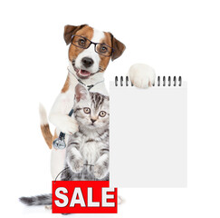 Aufkleber - Smart jack russell terrier puppy wearing eyeglasses with stethoscope on his neck hugs tiny kitten and shows empty notebook. Cat shows ignboard with labeled 