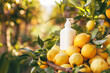Organic Lemon Skincare Product in Orchard