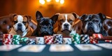 Fototapeta Sport - Various dog breeds playing a spirited game of poker collectively. Concept Dogs, Poker, Playing, Fun, Spirited