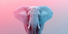 Tranquil And Charming Pastel Abstract Elephant Wallpaper. Concept Pastel Colors, Abstract Design, Elephant Motif, Tranquil Vibes, Charming Wallpaper