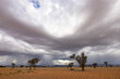 First rain of the season on the dry Namib Desert