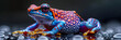 Frog on the water,
Illustration of colorful poison dart frog