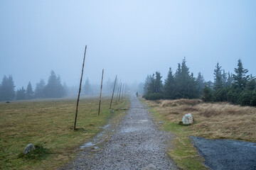 Wall Mural - Hiking trail in the Carpathian mountains in the fog.