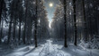© Davivd - Dreamlike forest bathed in moonlight - wide format