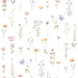© ku4erashka - Floral watercolor seamless pattern banner with watercolor wild herbs and flowers.