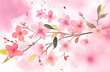 background with sakura, blossom in japanese style