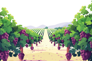 Wall Mural - vineyard isolated vector style