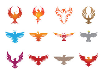 Creative phoenix birds collection logo design symbol vector illustration