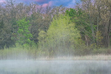 Wall Mural - Spring landscape at dawn of the shoreline of Deep Lake in fog with mirrored reflections in calm water, Yankee Springs State Park, Michigan, USA