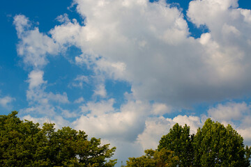 blue sky with clouds