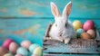 Little white rabbit in the wooden box with blue background surround with different color of ester eggs.