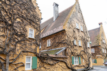 Wall Mural - A row of houses with ivy growing on the side of them