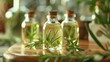 Close-up of rosemary-infused cosmetic essential oil bottles their calming green hues and herbal aroma offering a delightful and refreshing personal care moment HD