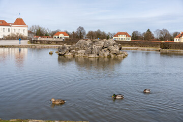 Wall Mural - A pond with ducks swimming in it