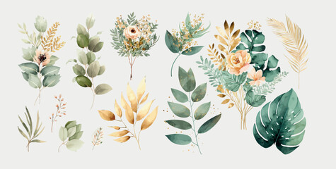 Fototapete - Watercolor floral illustration set - flower and green gold leaf. Decorative elements template. Flat cartoon