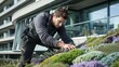 Gardener working on an extensive green roof covered with sedum and low plants