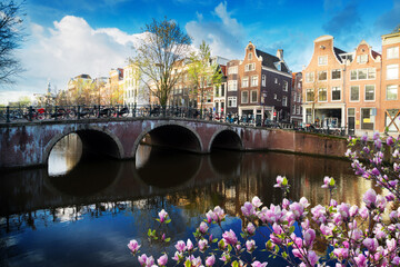 Wall Mural - Dutch scenery with canal and mirror reflections with spring tree, Amsterdam, Netherlands