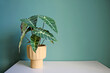 Artificial home plant on a white table. Space for your text.