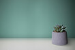 Artificial succulent plant on a white table. Space for your text.