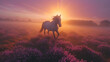Beautiful horse running in summer field, sunrise light