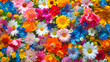 Beautiful colorful flowers as a bright multicolored floral background, top view