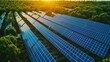 Solar panel farm, aerial view, photoshoot, super detailed, depth of field.