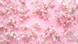 Beautiful pink and white spring flowers on a pink background as a floral background