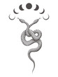 Two Headed Snake and Phases of Moon Esoteric Tattoo Isolated on White