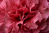 Fototapeta Tulipany - red dahlia flower