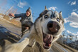 An energetic Siberian Husky running towards the camera with a playful owner chasing behind on a sunny winter day..