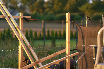 Wall Mural - Wooden Beams Rise Against the Backdrop of a Tranquil Sunset. A Golden Hour Glimpse of a New Beginning