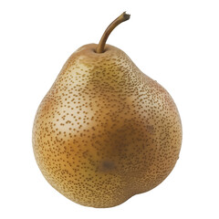 Poster - Korean pear fresh fruits on white background