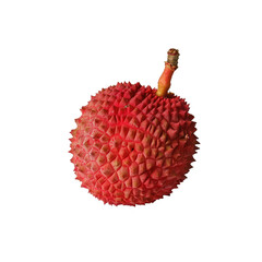 Canvas Print - Lychee fruits on isolated white background