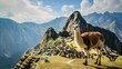 Lama And Machu Picchu