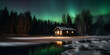 © Emiliano - A nighttime shot of the Northern Lights over a frozen lake in the forest