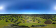 Aerial 360 degrees view of cork oaks the pasture of the province of Huelva, Andalusia, Spain, with green meadows