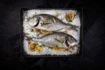 Two fresh steamed gilthead seabreams in salt crust with lemon slices and herbs served as top view in an old metal sheet